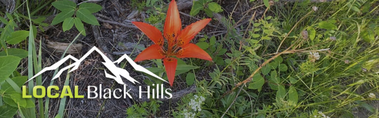 LocalBlackHillsHeader2 768x240