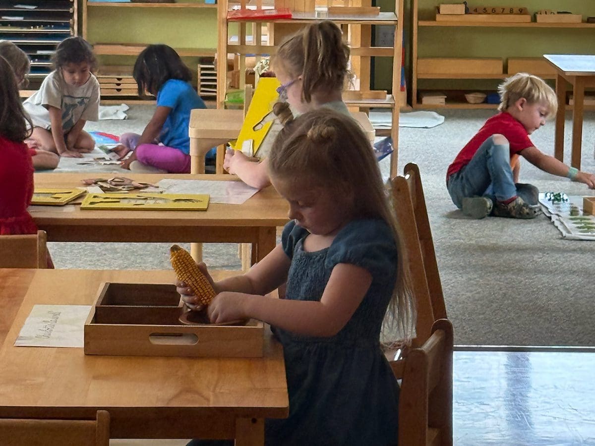children learning in classroom at children's house Montessori in rapid city