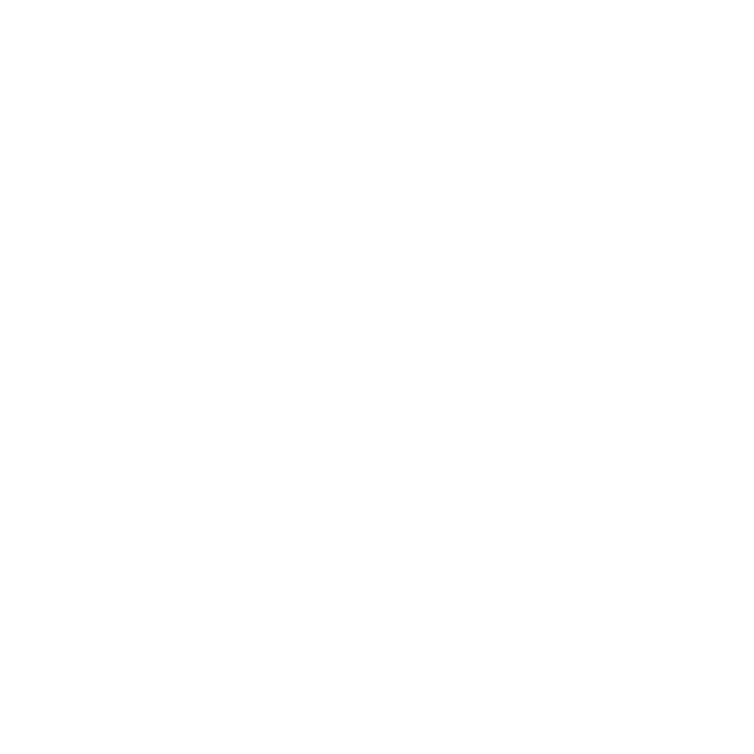 trail addict logo
