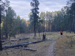 badger clark trail through clearing 300x225