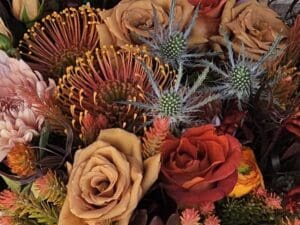 bloombar 300x225