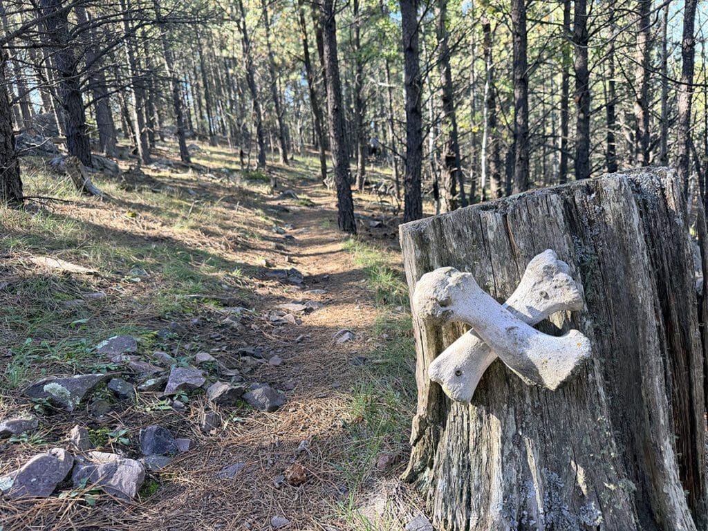 cross bones nailed to tree on Bone Collector Trail