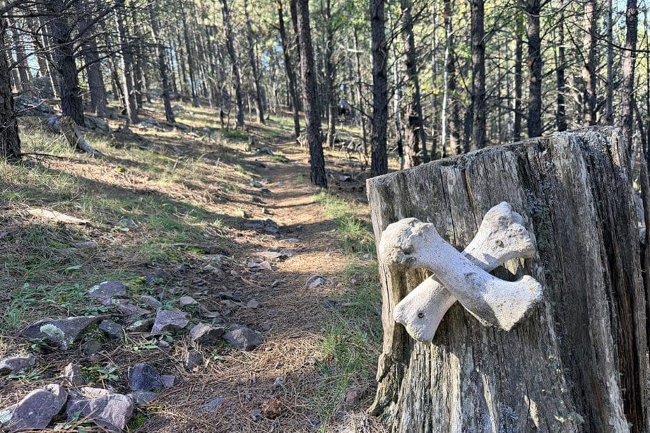 cross bones nailed to tree on Bone Collector Trail
