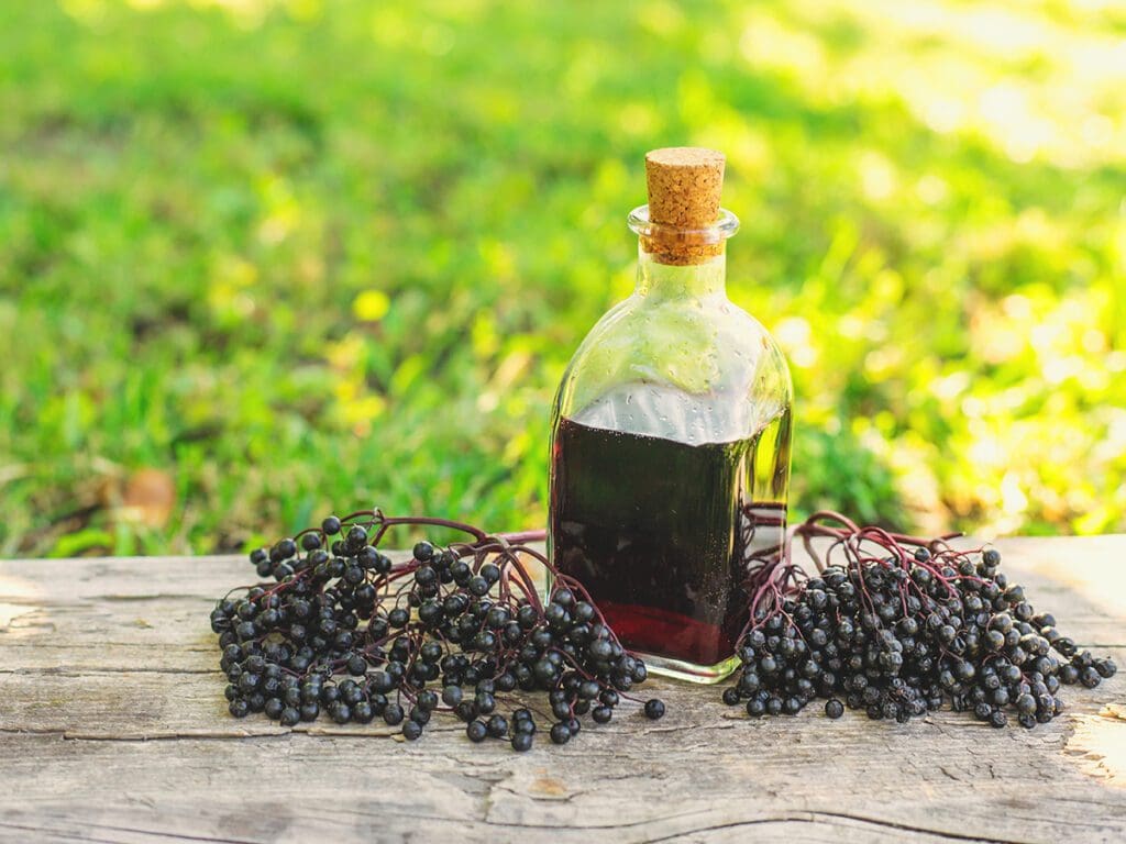 Elderberries with bottle of elderberry syrup