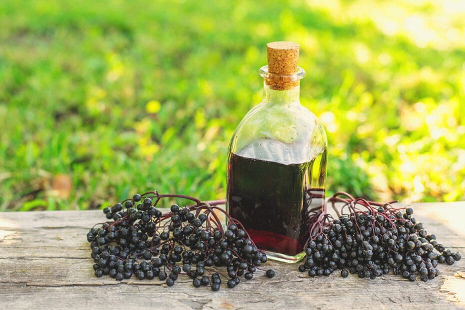 Elderberries with bottle of elderberry syrup