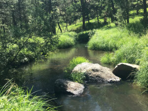 grace coolidge trail creek 300x225
