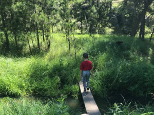grace coolidge trail creek crossing 300x225