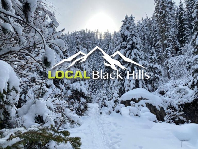 local black hills in the snow 768x576