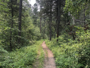 lovers leap trail dirt path 300x225