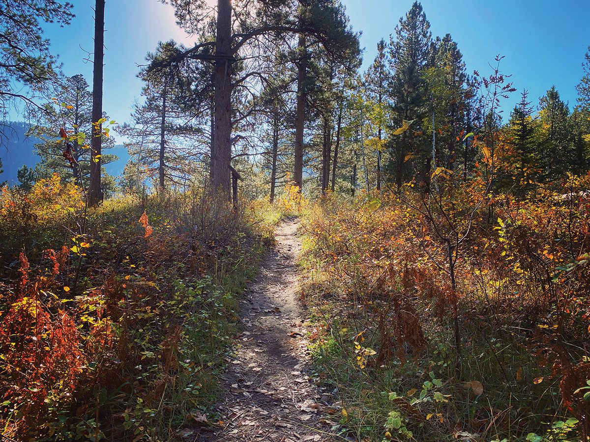'76 Trail in Spearfish Canyon in the fall