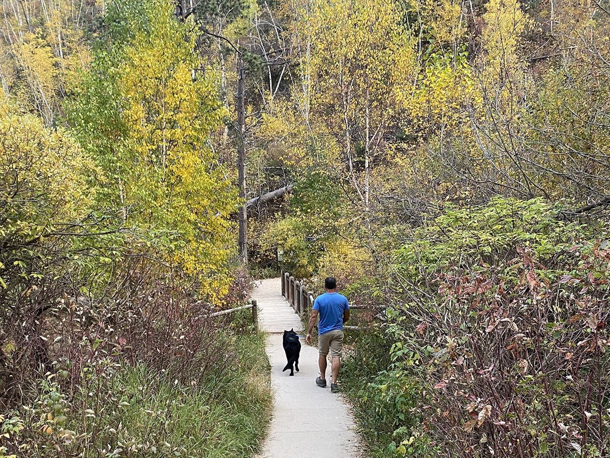 man walking dog on a sidewalk in spearfish canyon through autumn leaves