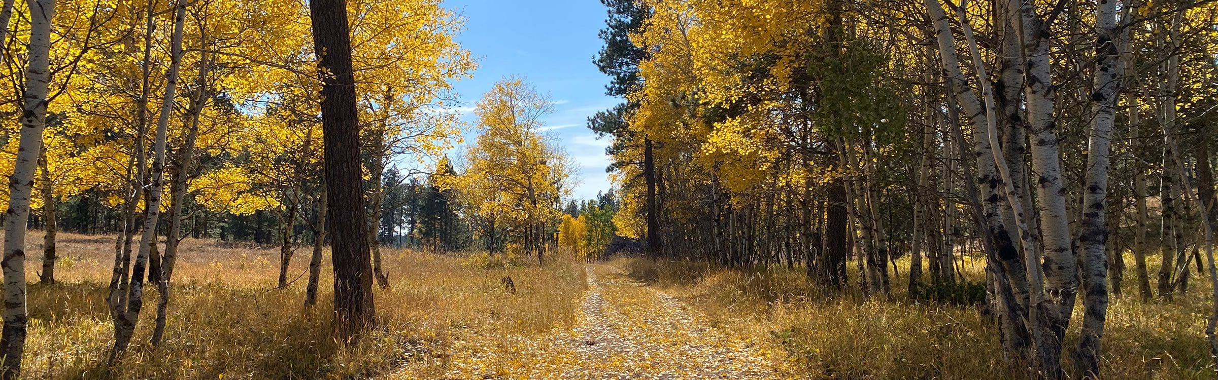 fall in the black hills
