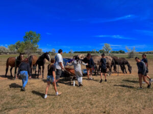 kind hearted womens society with horses 300x225