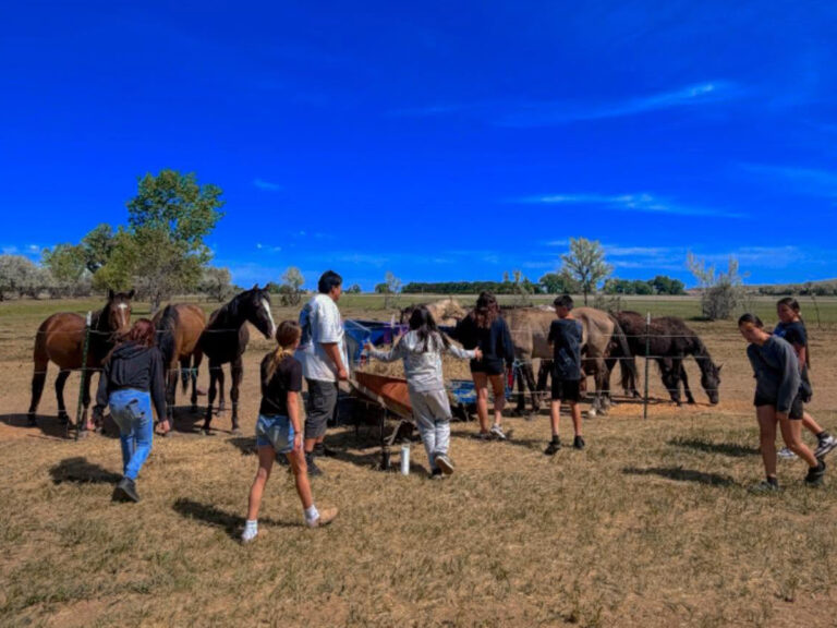 kind hearted womens society with horses 768x576