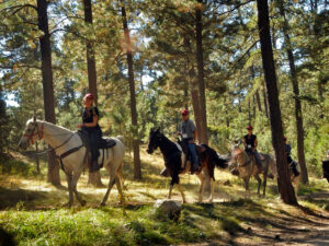 custer state park horse trail ride 300x225