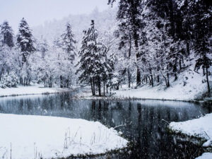 custer state park lake in winter 300x225