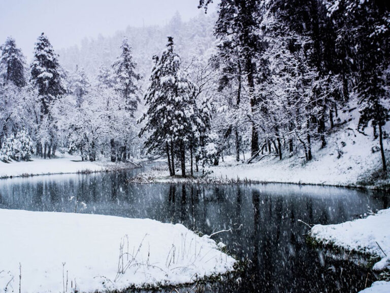 custer state park lake in winter 768x576