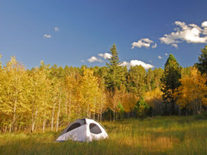 custer state park primitive camping in fall 300x225