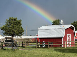 old macdonalds farm rapid city barns 300x225