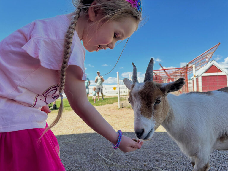 old macdonalds farm rapid city girl feeding goat 768x576