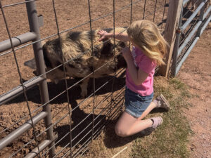 old macdonalds farm rapid city girl petting pig 300x225