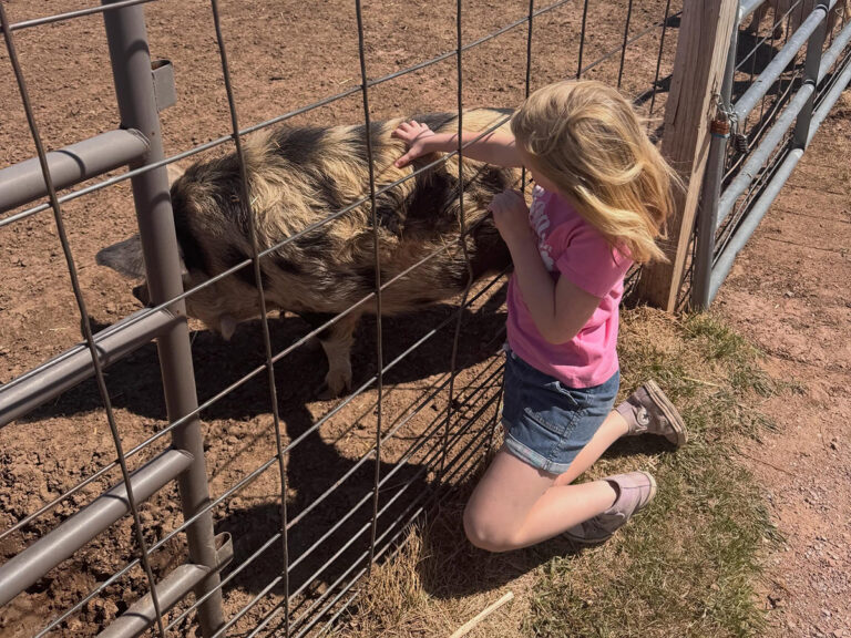 old macdonalds farm rapid city girl petting pig 768x576