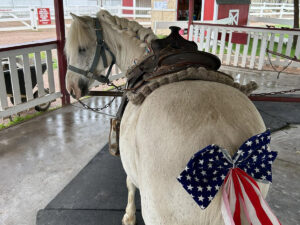 old macdonalds farm rapid city pony rides 300x225