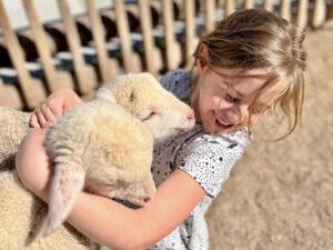 old macdonalds farm rapid city sheep kisses 300x225