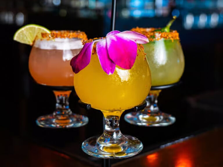 puerto vallarta rapid city margaritas 768x576