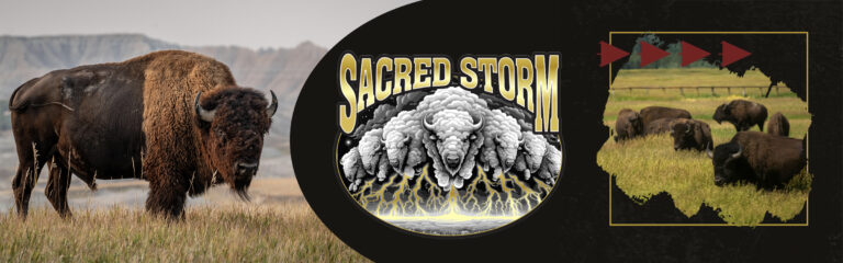 sacred storm header 768x240