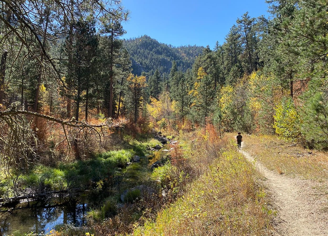 Iron Creek Trail