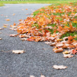 Asphalt with leaves on it