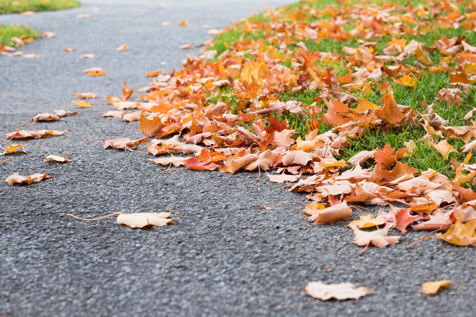 Asphalt with leaves on it