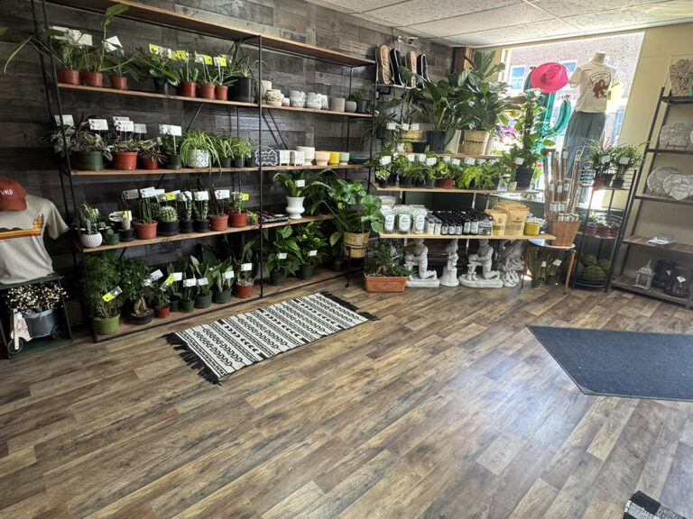 belle flower co inside store 768x576