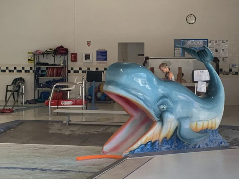 belle fourche rec center whale water slide 768x576