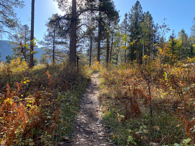 76trail1 768x576