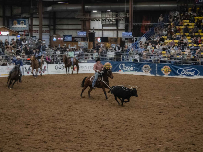 black hills stock show calf roping 768x576