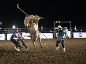 central states fair rodeo bull 300x225