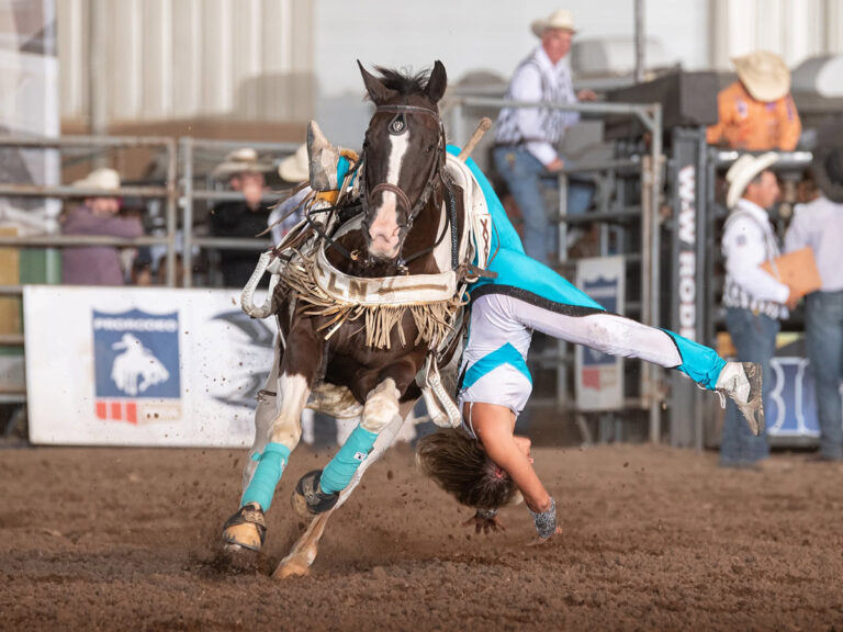 central states fair trick horse rider 768x576