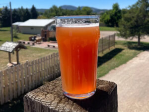 crow peak brewing beer 300x225