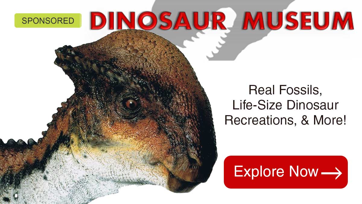 Dinosaur Museum – Things to do zone 2