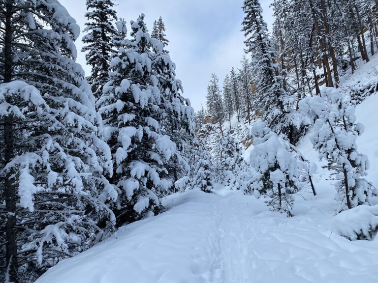 iron creek trail spearfish winter 768x576