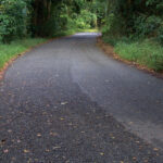 Asphalt Driveway in fall