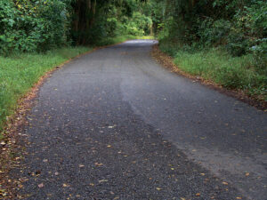 Asphalt Driveway in fall