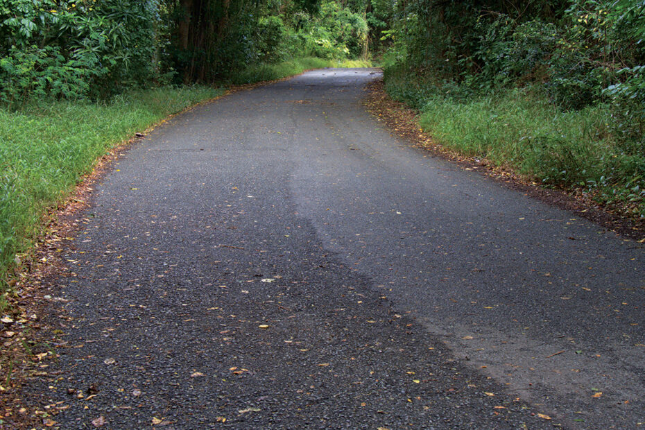 Asphalt Driveway in fall