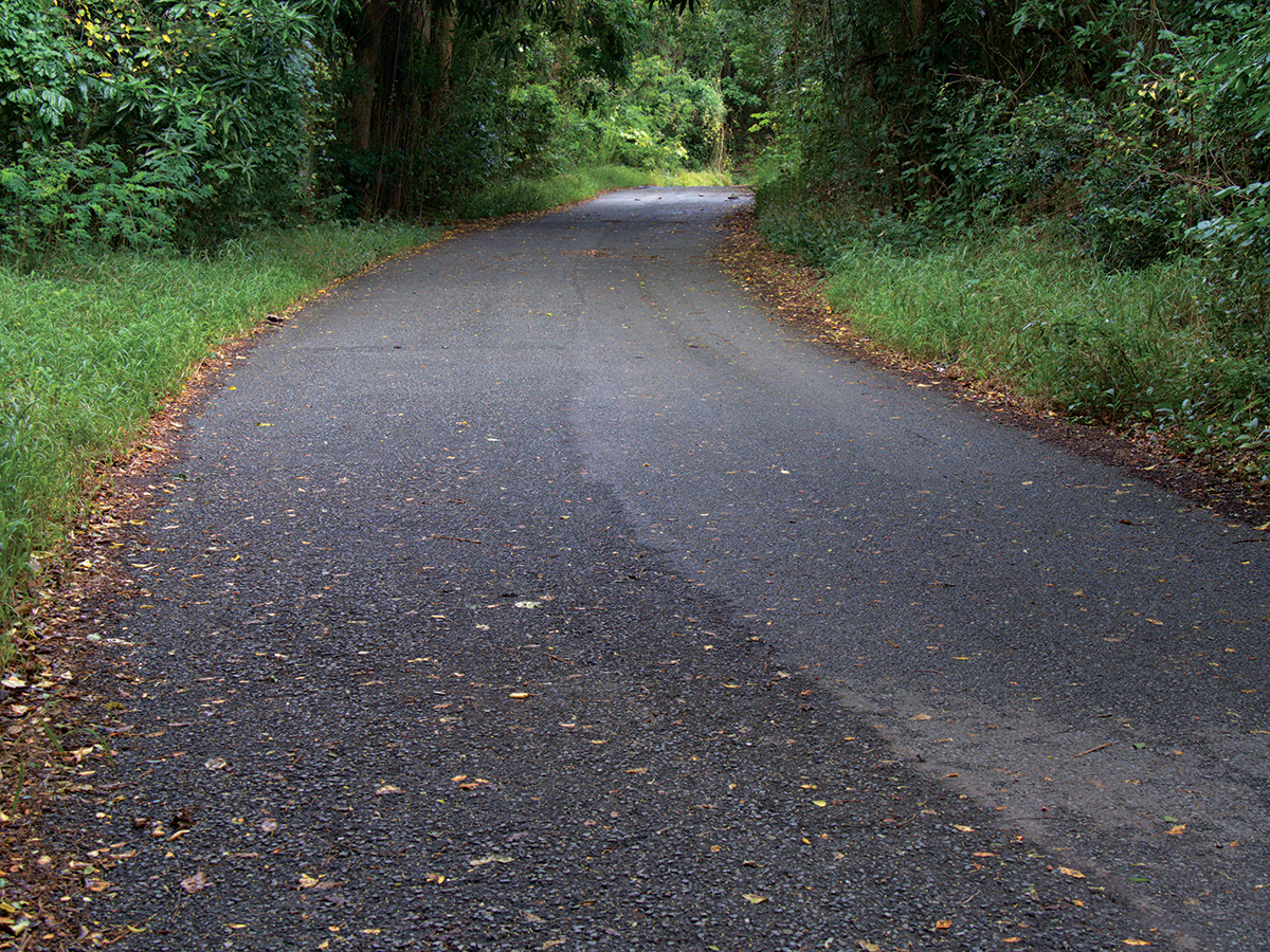 Asphalt Driveway in fall