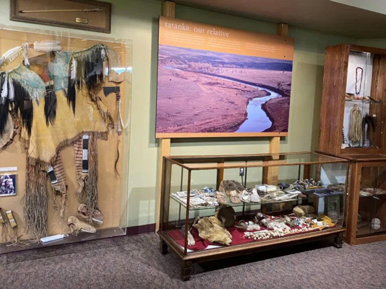 tatanka story of the bison display 768x576
