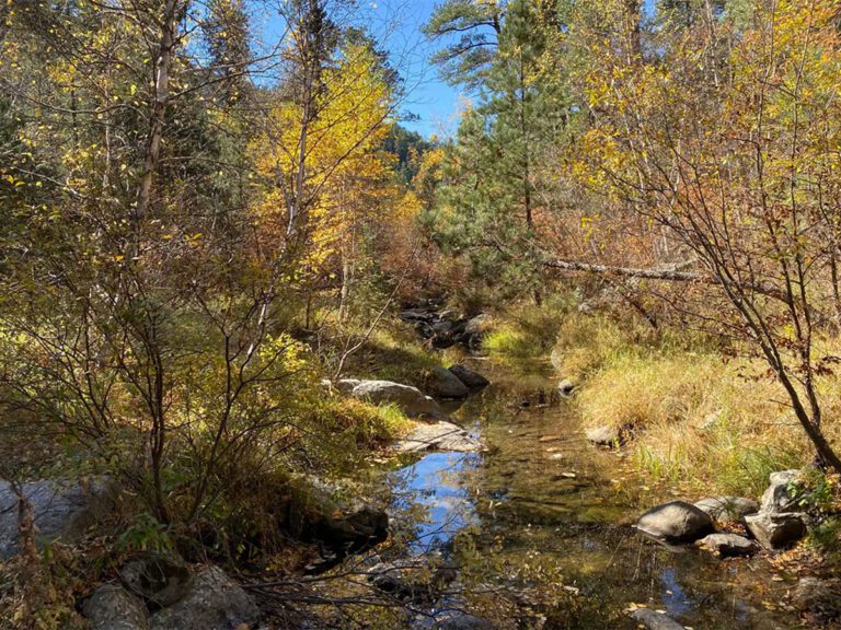 iron creek trail
