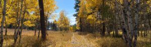 fall in the black hills