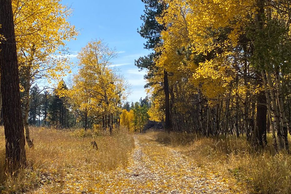 fall in the black hills